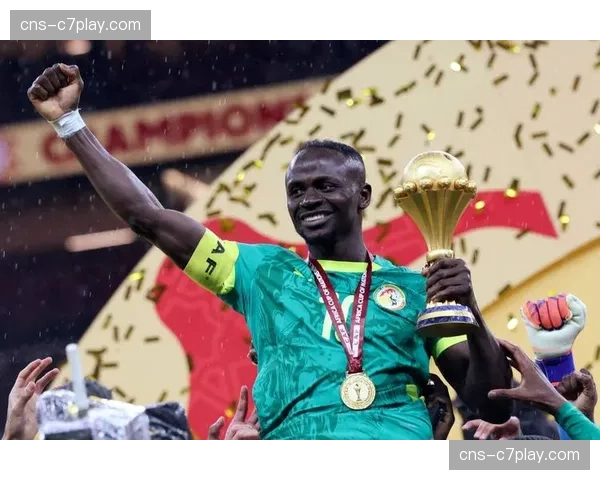 意甲与非洲足联达成合作，将在今夏举办首届“意甲非洲杯”友谊赛